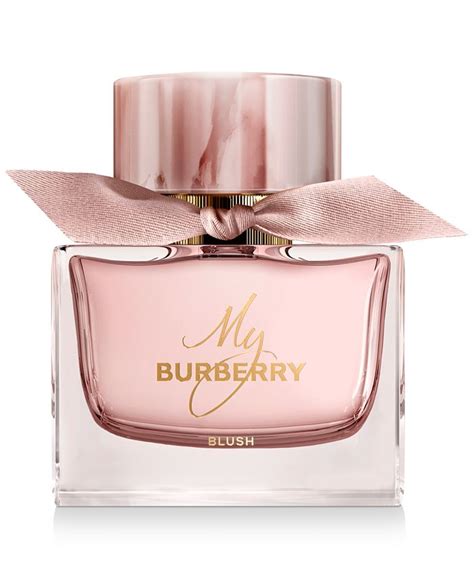 burberry blush 3 oz|burberry blush review.